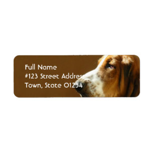 Étiquette de adresse de retour de Basset Hound