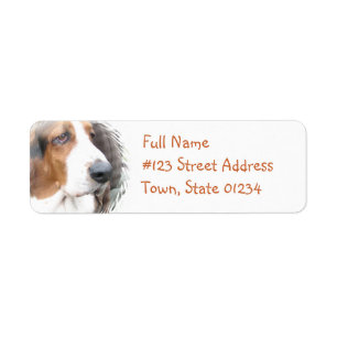 Étiquette de adresse de retour de Basset Hound