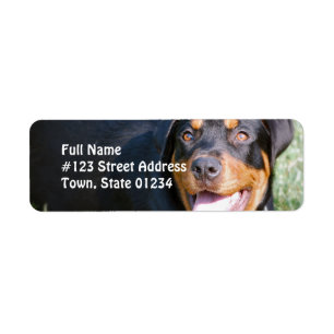 Étiquette de adresse de retour de chien de
