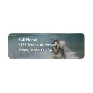 Étiquette de adresse de retour de chien de