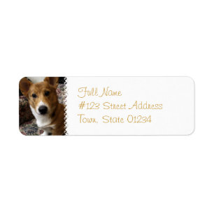 Étiquette de adresse de retour de chien de corgi