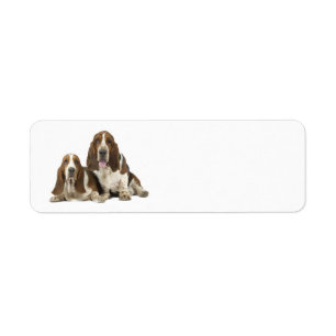 Étiquette de adresse de retour de chiens de basset