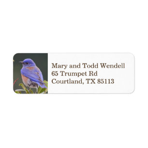 Étiquette de adresse de retour d'oiseau bleu