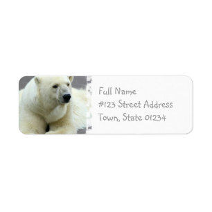 Étiquette de adresse de retour d'ours blanc