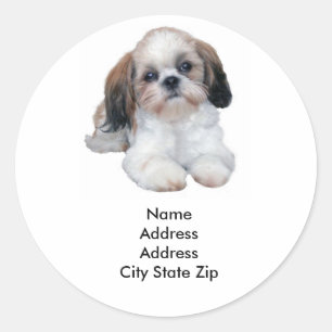 Étiquette de adresse de Shih Tzu