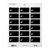 Étiquette de adresse de tortue (Feuille entière)