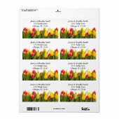 Étiquette de adresse de tulipes colorées (Feuille entière)