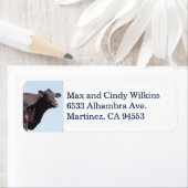 Étiquette de adresse de vache noire (En situation)