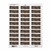 Étiquette de adresse des tortues terrestres (Feuille entière)