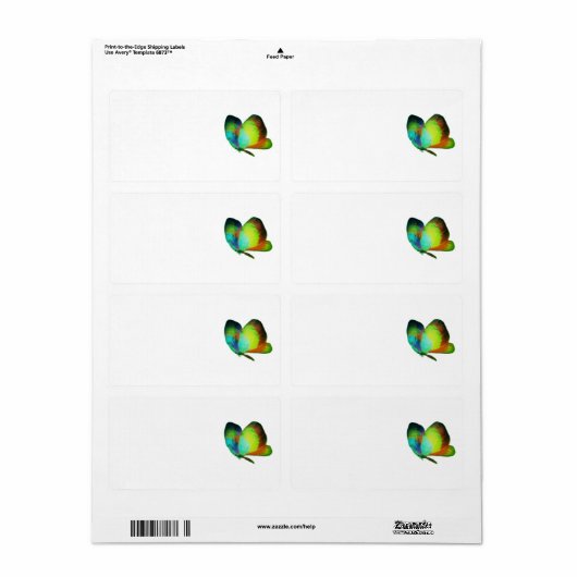 Étiquette de adresse d'expédition (Feuille entière)