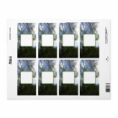 Étiquette de adresse d'expédition cool éco design (Feuille entière)