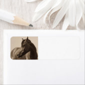 Étiquette de adresse du cheval arabe (En situation)