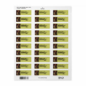 Étiquette de adresse Earth Globe Split Vintage Bik (Feuille entière)