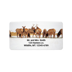 Étiquette de adresse Elk Herd
