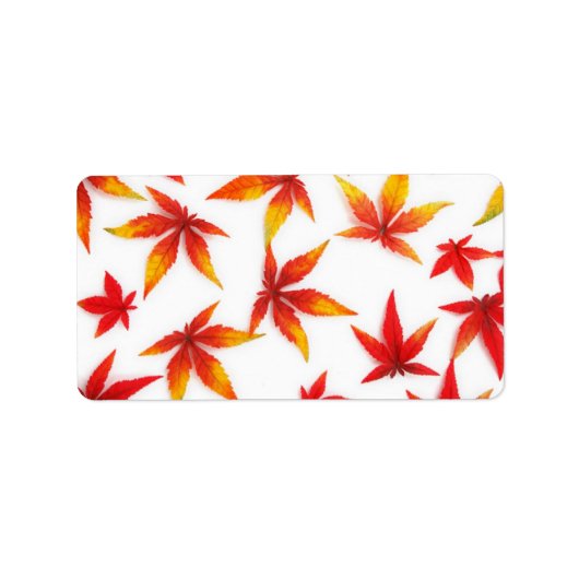 Étiquette de adresse Feuilles d'automne (Devant)