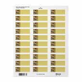 Étiquette de adresse français de carte postale (Feuille entière)
