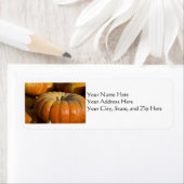 Étiquette de adresse : Grand Citrouille (En situation)