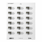 Étiquette de adresse gris et blanc Kitty Face (Feuille entière)