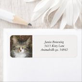 Étiquette de adresse Kitty Cat (En situation)