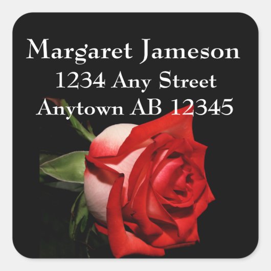 Étiquette de adresse longtemps refoulé de retour (Devant)