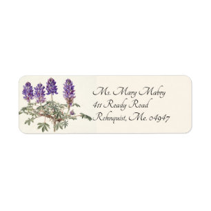 Étiquette de adresse Lupine violet