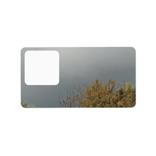 Étiquette de adresse mailing styles art&design (Devant)