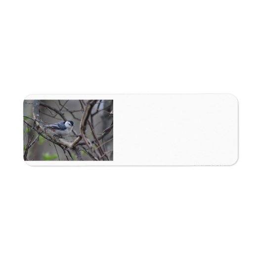 Étiquette de adresse Nuthatch (Devant)