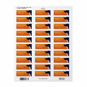Étiquette de adresse Orange & Blue Graduation (Feuille entière)