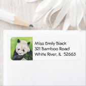 étiquette de adresse Panda Bear (En situation)