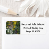 Étiquette de adresse papillon skipper (En situation)