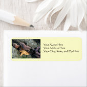 Étiquette de adresse : poisson Starfish (En situation)