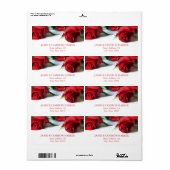 Étiquette de adresse romantique de Roses rouges (Feuille entière)
