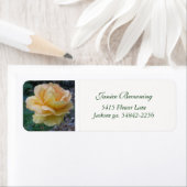 Étiquette de adresse Rose crème à beurre (En situation)