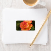 Étiquette de adresse Rose orange (En situation)