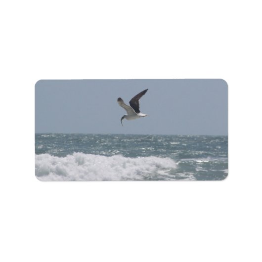 Étiquette de adresse Seagull (Devant)