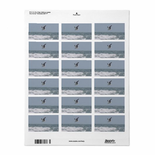 Étiquette de adresse Seagull (Feuille entière)