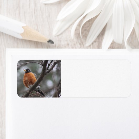 Étiquette de adresse Spring Robin (En situation)