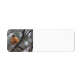 Étiquette de adresse Spring Robin (Devant)