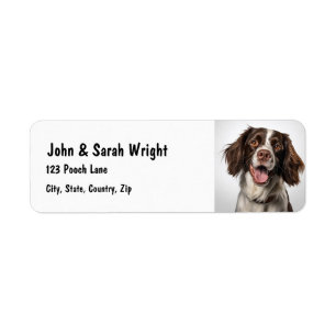Étiquette de adresse Springer Spaniel Chien person