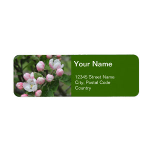 étiquette de adresse vert pomme