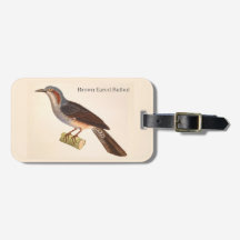 Étiquette de bagage Bulbul à oreilles brunes