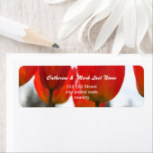 Étiquette De Belles Fleurs De Tulipes Rouges. (En situation)