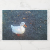 Étiquette de bouteille de canard (Étiquettes simples)