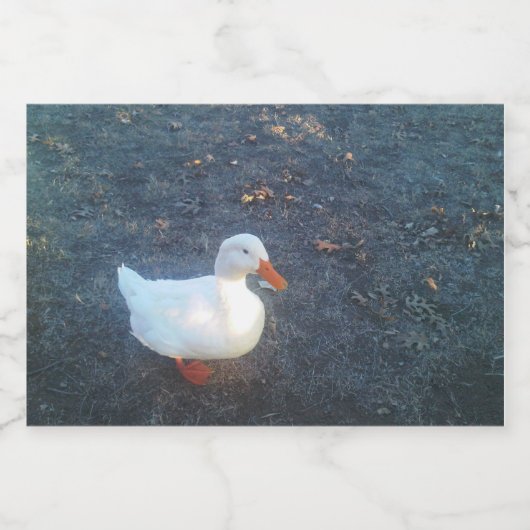 Étiquette de bouteille de canard (Étiquettes simples)