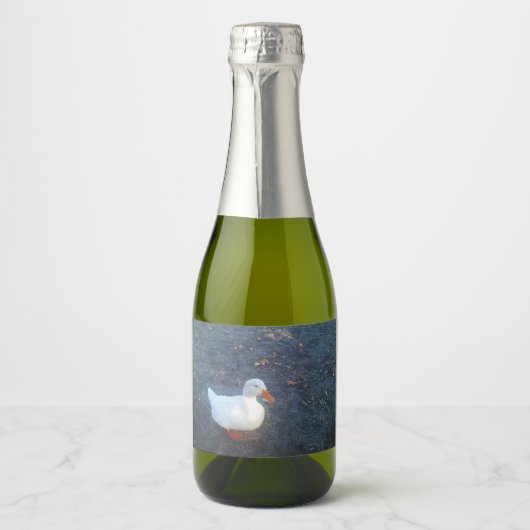 Étiquette de bouteille de canard (Devant)