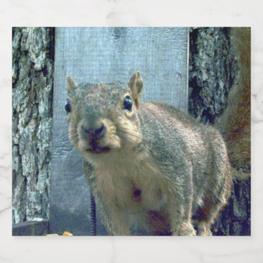 Étiquette de bouteille d'écureuil (Étiquettes simples)