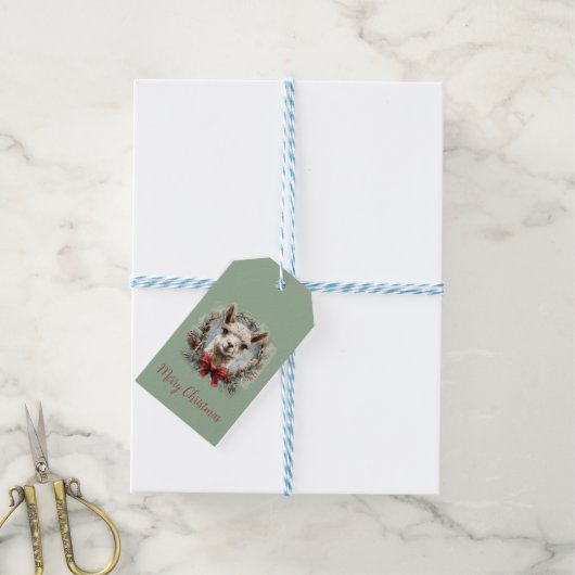 Étiquette de cadeau de Noël de l'alpaga mignon (With Twine)