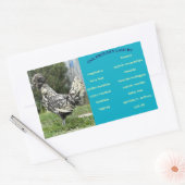 Étiquette de carton d'oeuf (Enveloppe)