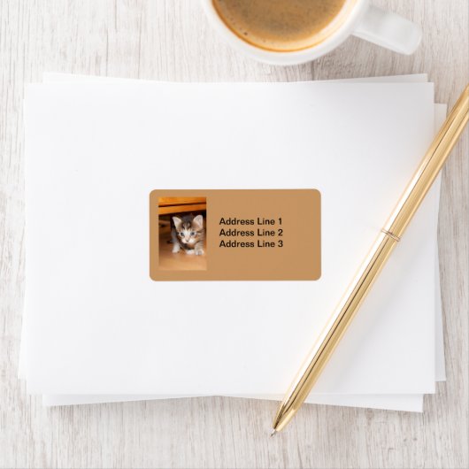 Étiquette de chaton à bascule (En situation)