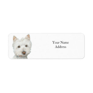Étiquette de chien mignon Westie